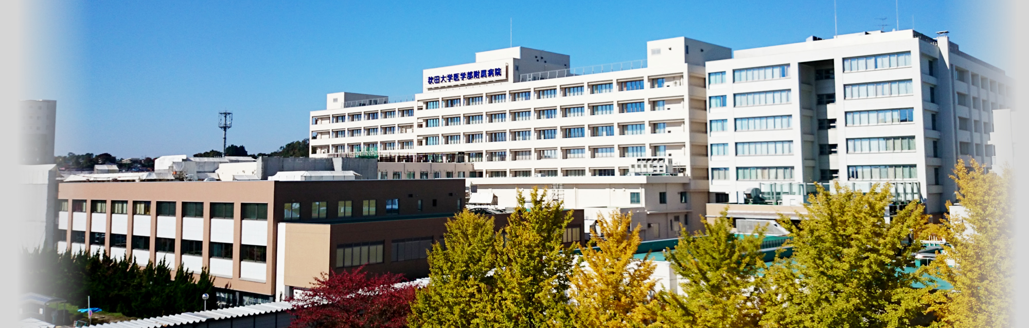 Hospital in Akita – JapanBackpack